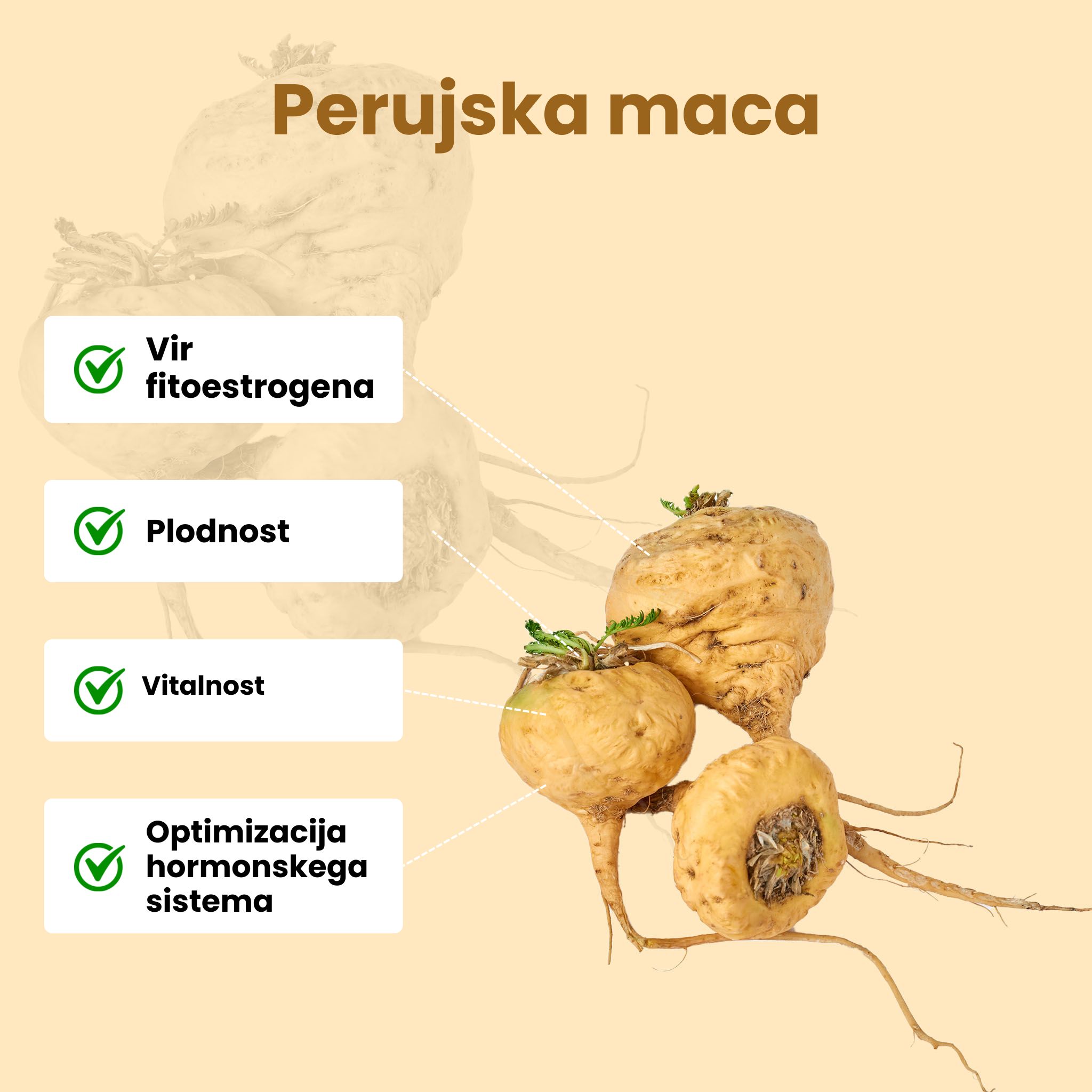 (Slovinština) Maca peruanska